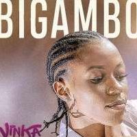 Bingambo - Vinka