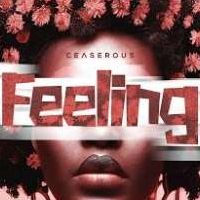 Feeling - Ceaserous