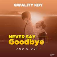 Never Say - Qwality KBY