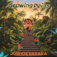 No Lie - Joshua Baraka