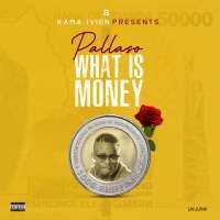 What Is Money - Pallaso